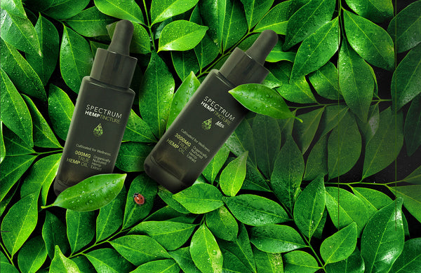 First Time Buying CBD Products? Know These Tips.